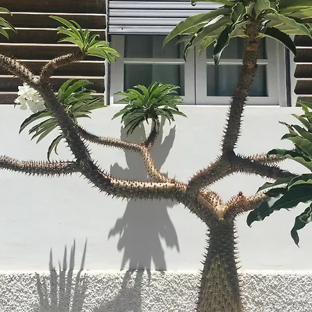 Casa Bencomo *